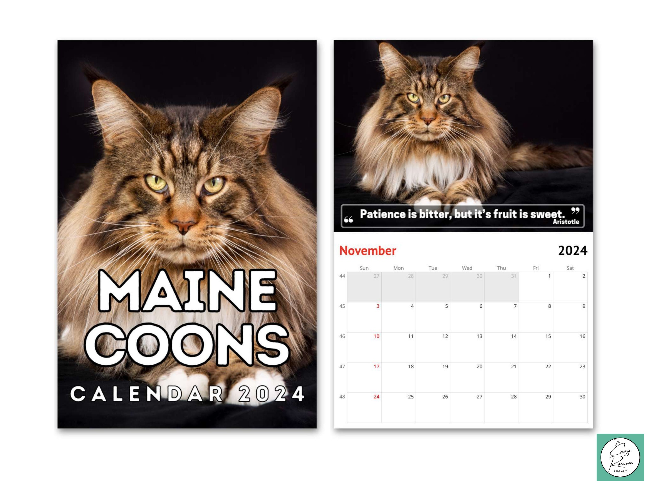 Maine Coons Wall Calendar 2024, Cute Gift Idea for Maine Coon Cat