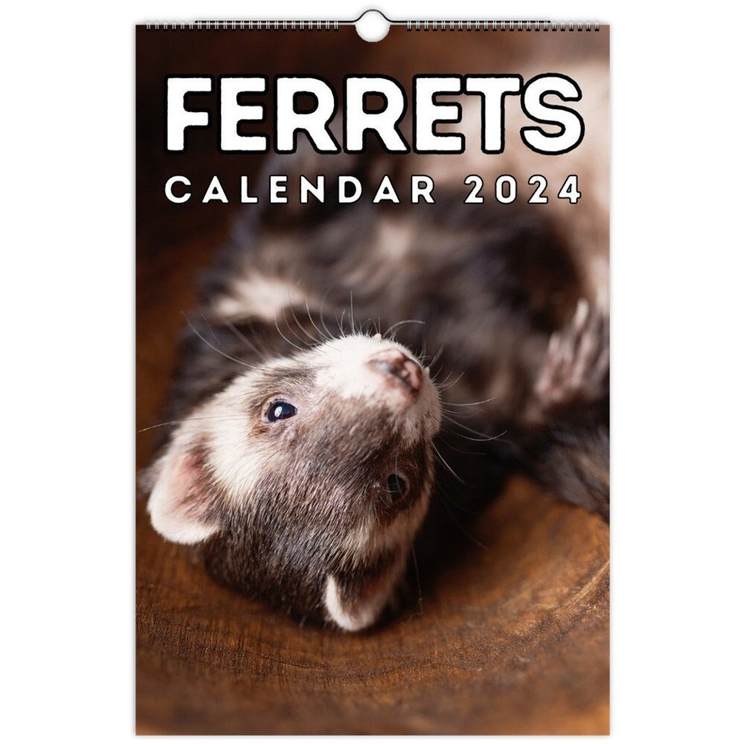 Ferrets Wall Calendar 2024 Cute Gift Idea for Ferret Lovers Etsy