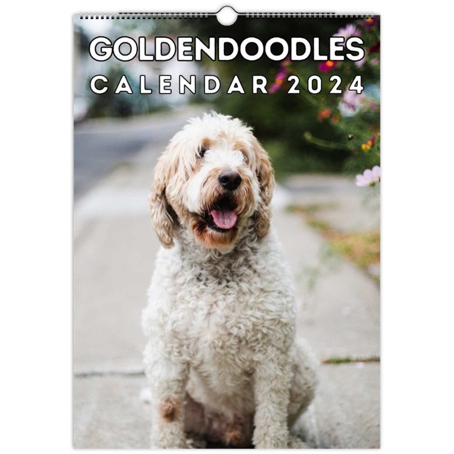 Goldendoodles Wall Calendar 2024, Cute Gift Idea for Goldendoodle