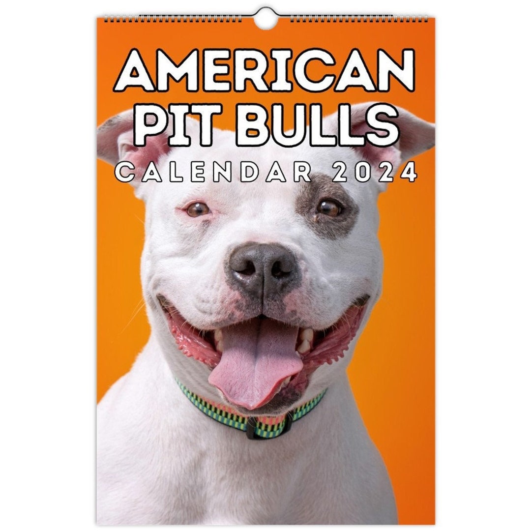 American Pit Bulls Wall Calendar 2024, Cute Gift Idea for American