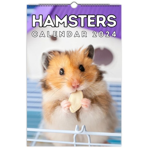 2023 Hamsters for free 26 5, 