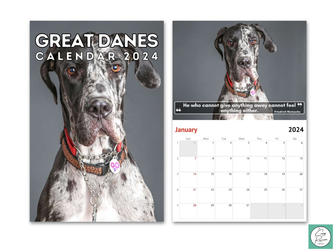 Great Danes Wall Calendar 2025 Cute Gift Idea for Great Dane Etsy