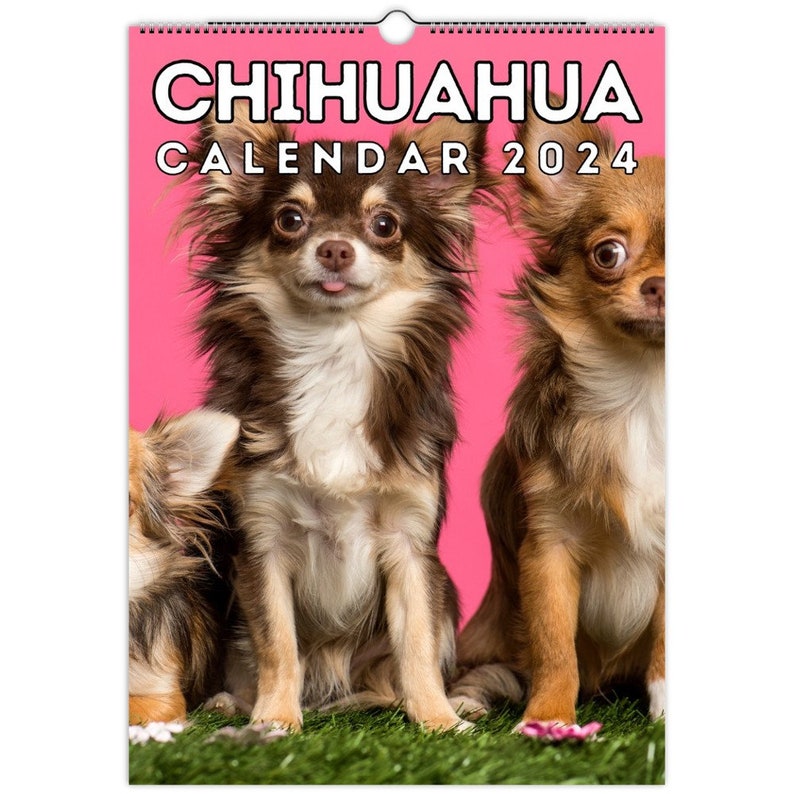 Chihuahua Calendar 2024, Cute Gift Idea for Chihuahua Lovers & Owners