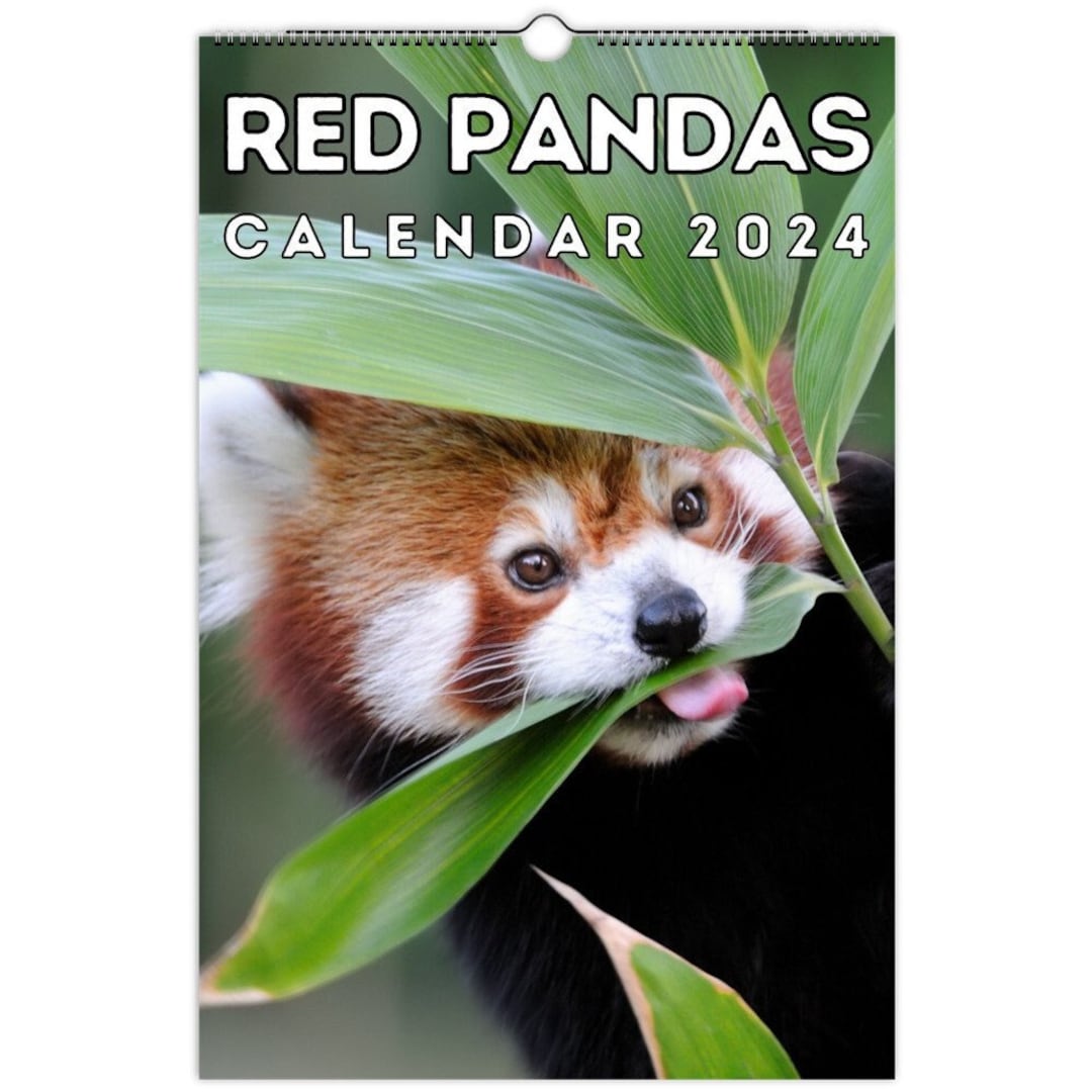 Red Pandas Wall Calendar 2024, Cute Gift Idea for Red Panda Lovers - Etsy