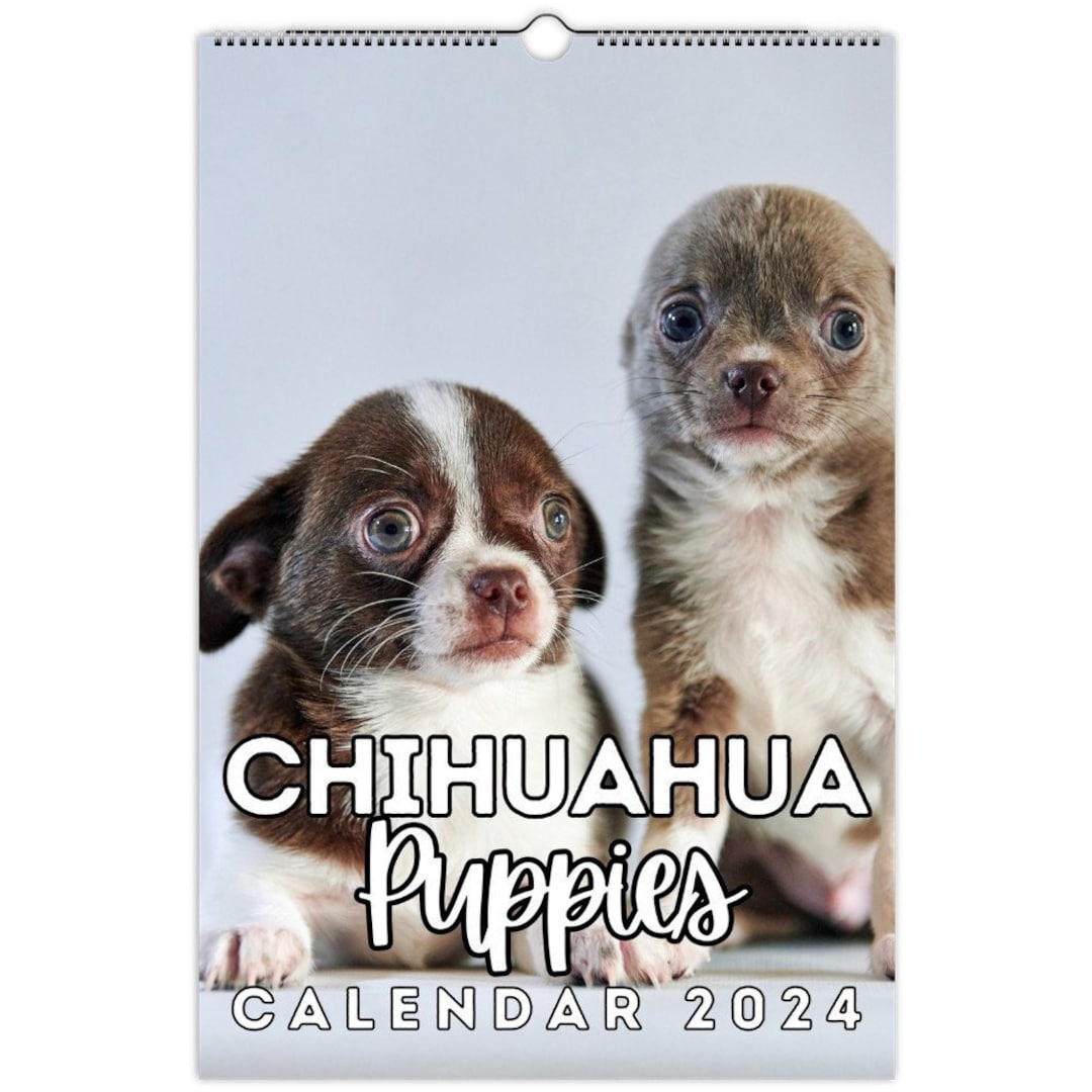 Chihuahua Puppies Wall Calendar 2024, Cute Gift Idea for Chihuahua Dog  Lovers - Etsy