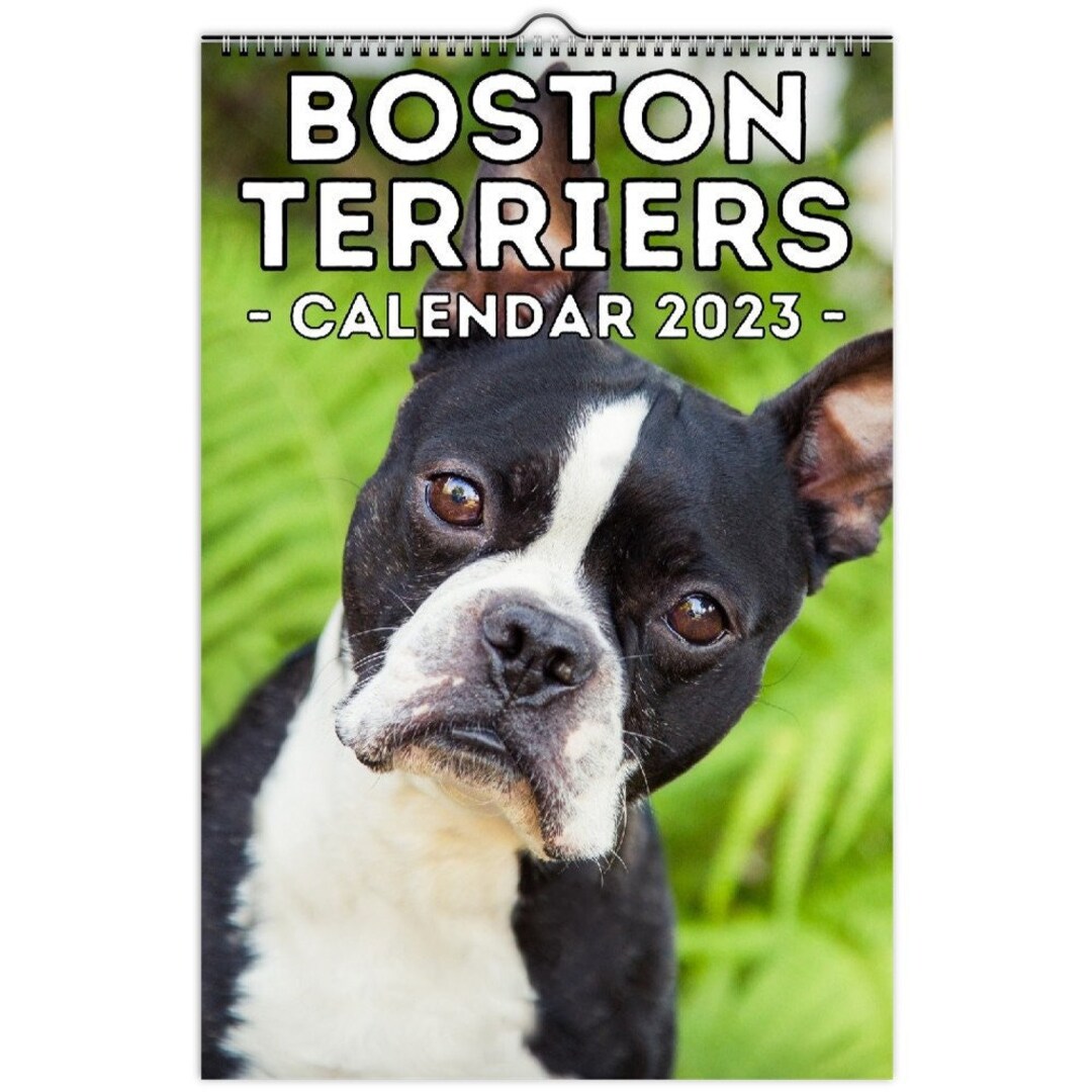 Boston Terriers Wall Calendar 2023 Cute Gift Idea for Boston Etsy