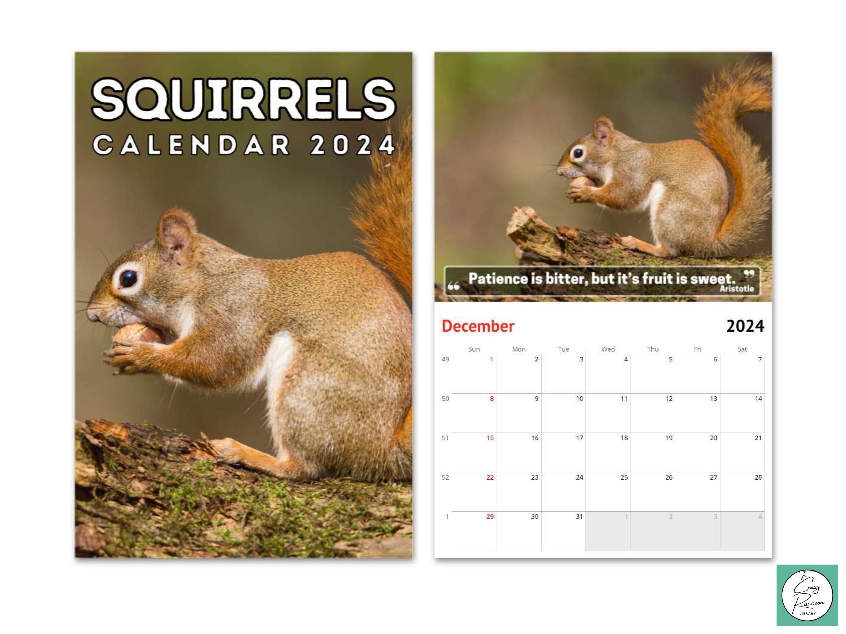Squirrels Wall Calendar 2024, Cute Gift Idea for Squirrel Lovers Etsy