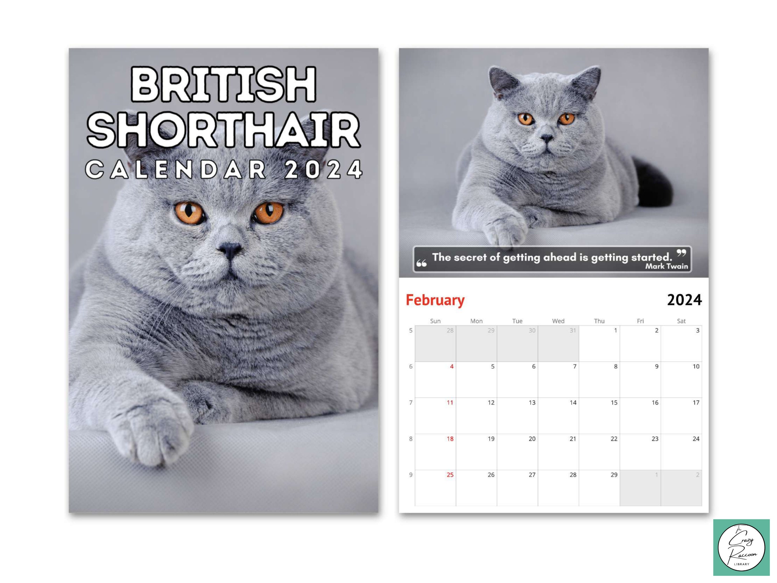 British Shorthair Wall Calendar 2024 Cute Gift Idea for Etsy