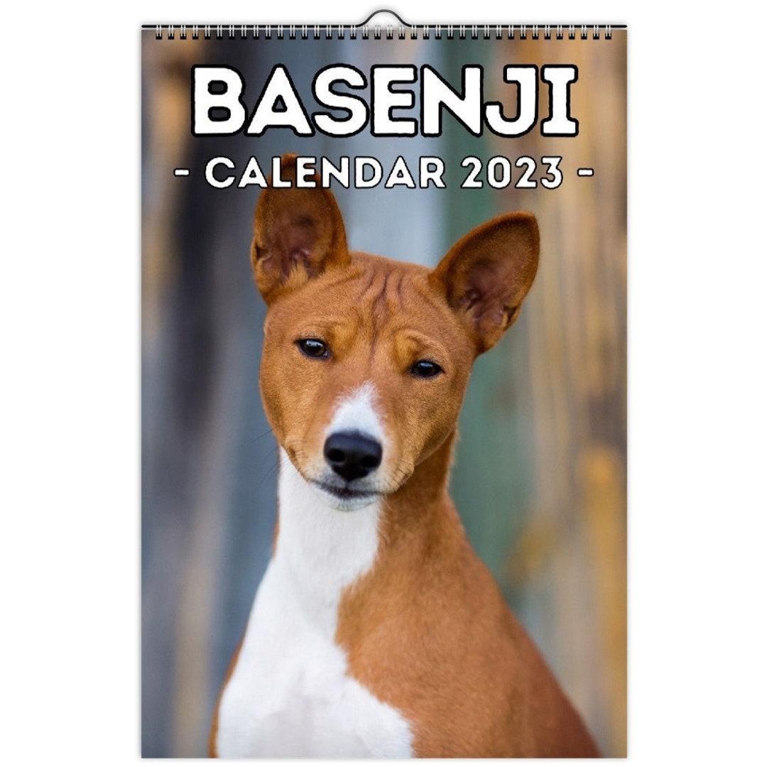 Basenji Wall Calendar 2023 Cute Gift Idea for Basenji Dog - Etsy UK