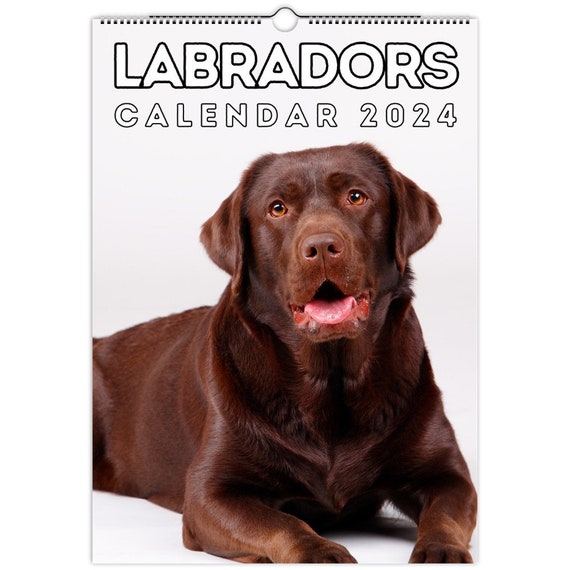 Labradors Wall Calendar 2024, Cute Gift for Labrador Retriever Lovers -  Etsy Israel