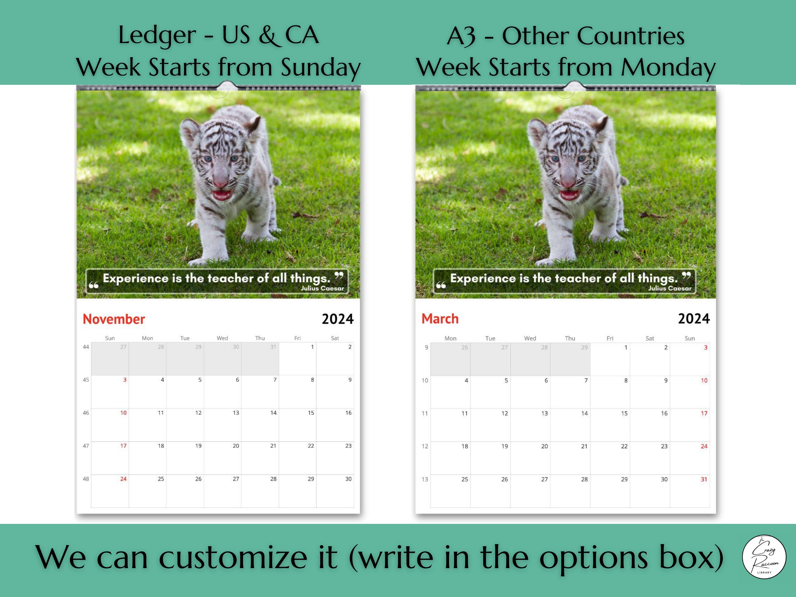 White Tiger Cubs Wall Calendar 2024 Cute Gift Idea for White Etsy