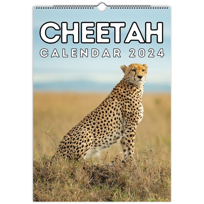 Cheetah Wall Calendar 2024, Cute Gift Idea for Cheetahs Lovers Etsy