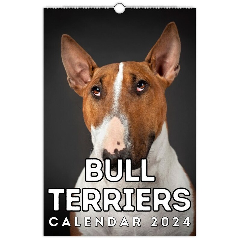 Bull Terriers Wall Calendar 2024, Cute Gift Idea for Bull Terrier
