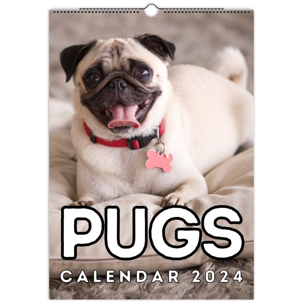 Pugs Wall Calendar 2024, Pug Gifts, Cute Gift Idea for Pug Lovers
