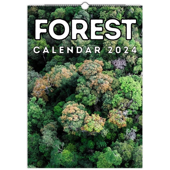 Calendrier mural forestier 2024, belle idée cadeau pour les amoureux de la  forêt et de la nature -  France