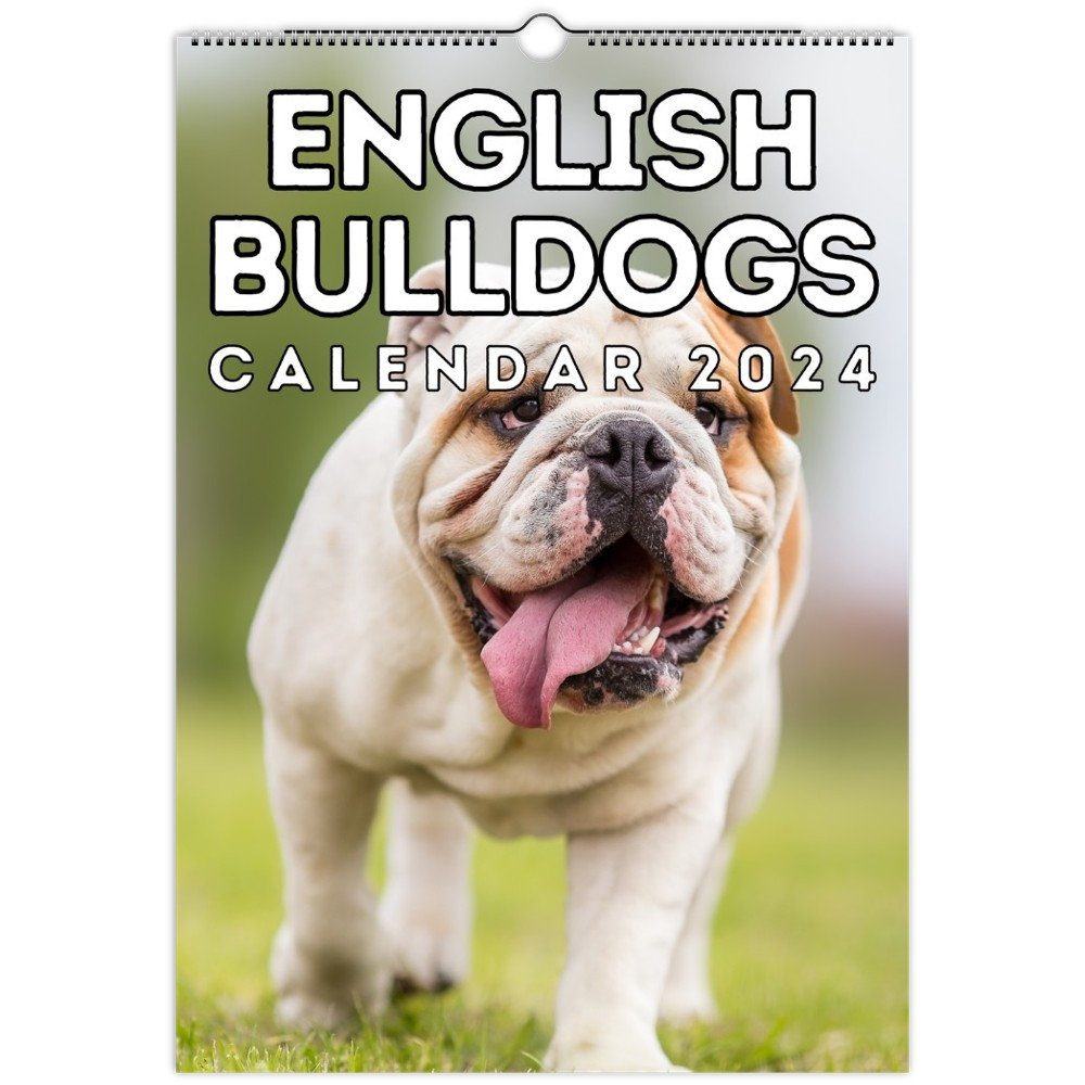 English Bulldogs Wall Calendar 2025, Cute Gift Idea for English Bulldog