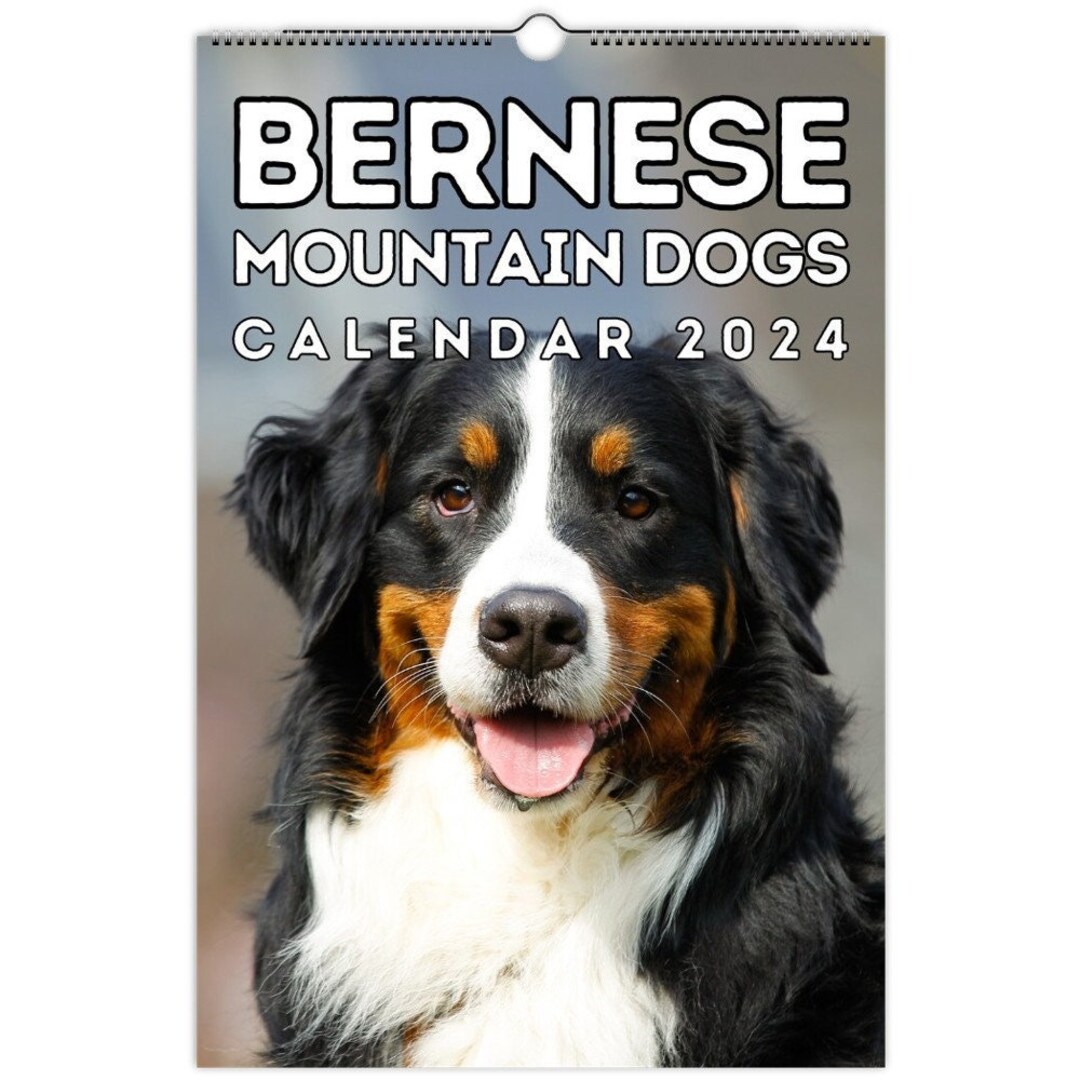 Bernese Mountain Dogs Wall Calendar 2024, Cute Gift Idea for Bernese