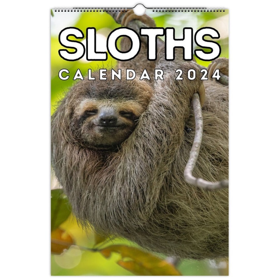Sloths Wall Calendar 2024, Cute Gift Idea for Sloth Lovers Etsy