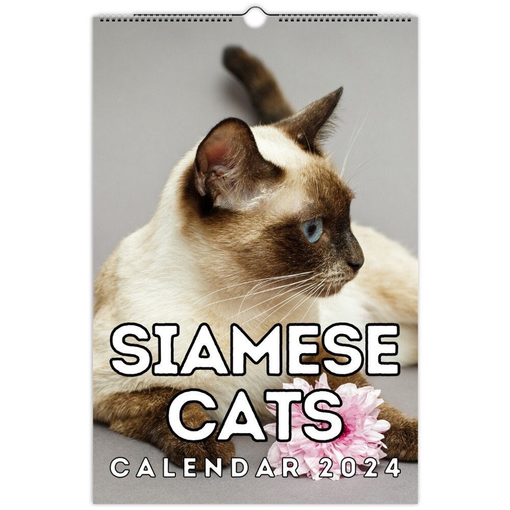Siamese Cats Wall Calendar 2024, Cute Gift Idea for Siamese Cat Lovers - Etsy Israel siamese-cats-wall-calendar-2024-cute-gift-idea-for-siamese-cat-lovers-etsy-israel