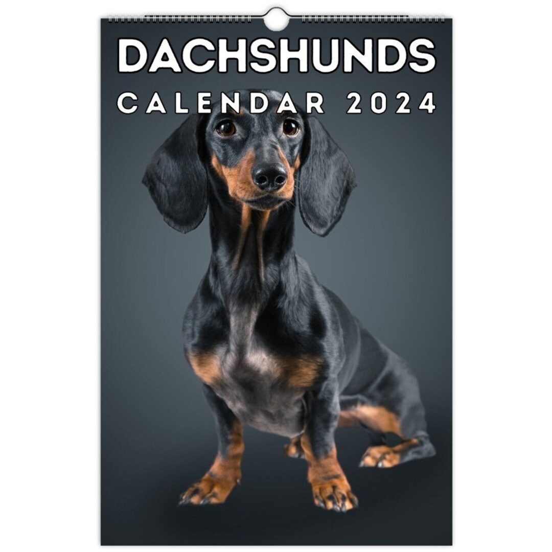 Dachshunds Wall Calendar 2025, Cute Gift Idea for Dachshund Lovers