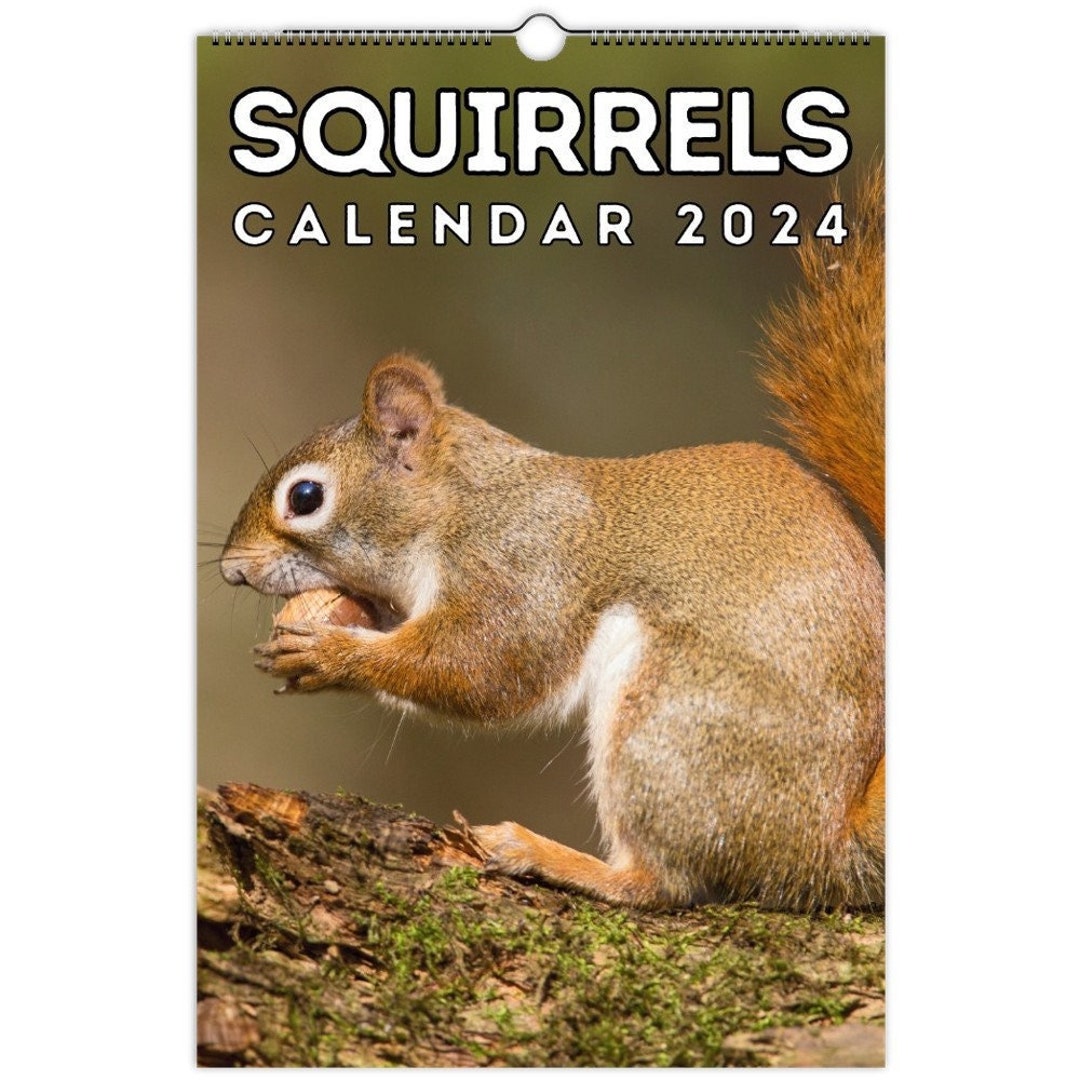 Squirrels Wall Calendar 2024 Cute Gift Idea For Squirrel Etsy