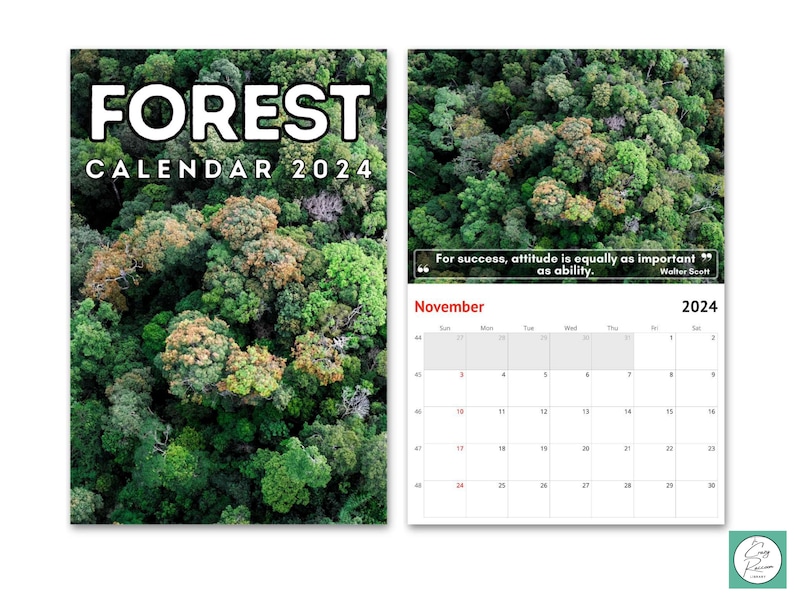 Forest Wall Calendar 2024, Beautiful Gift Idea for Forest & Nature