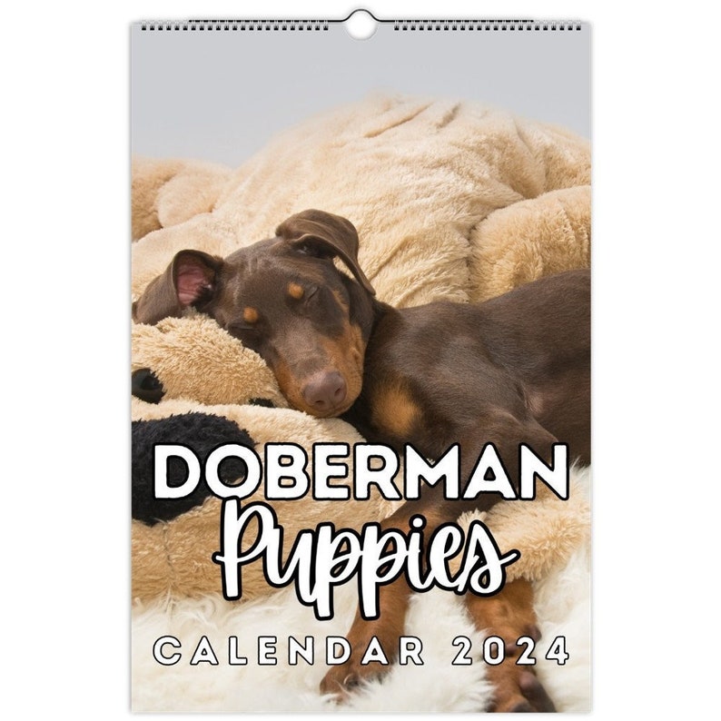 Doberman Puppies Wall Calendar 2024 Cute Gift Idea for Etsy
