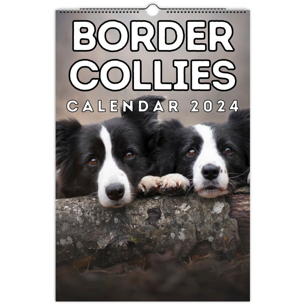 Border Collies Wall Calendar 2024 Cute Gift Idea for Border Etsy