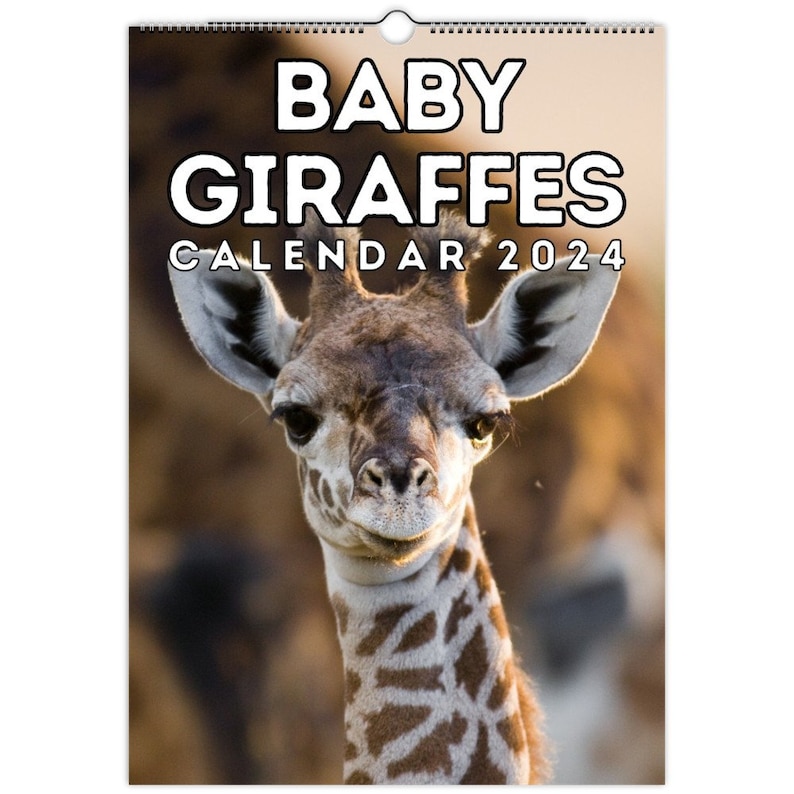 Baby Giraffes Wall Calendar 2024, Cute Gift Idea for Giraffe Lovers Etsy
