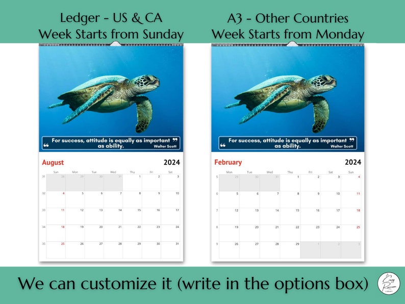 Turtles Wall Calendar 2024 Great Gift Idea for Turtle Lovers Etsy