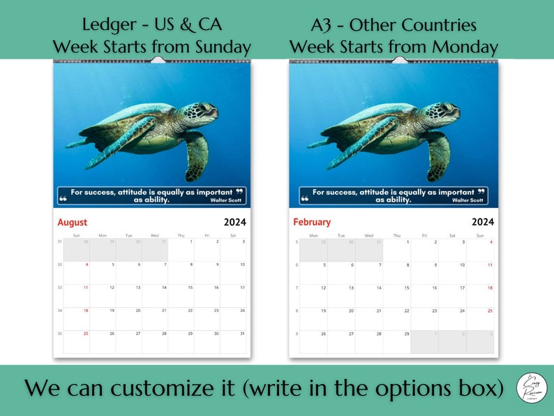 Turtles Wall Calendar 2025 Great Gift Idea for Turtle Lovers Etsy