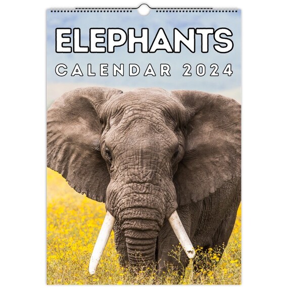 Elephant Calendar 2024 Becki Carolan