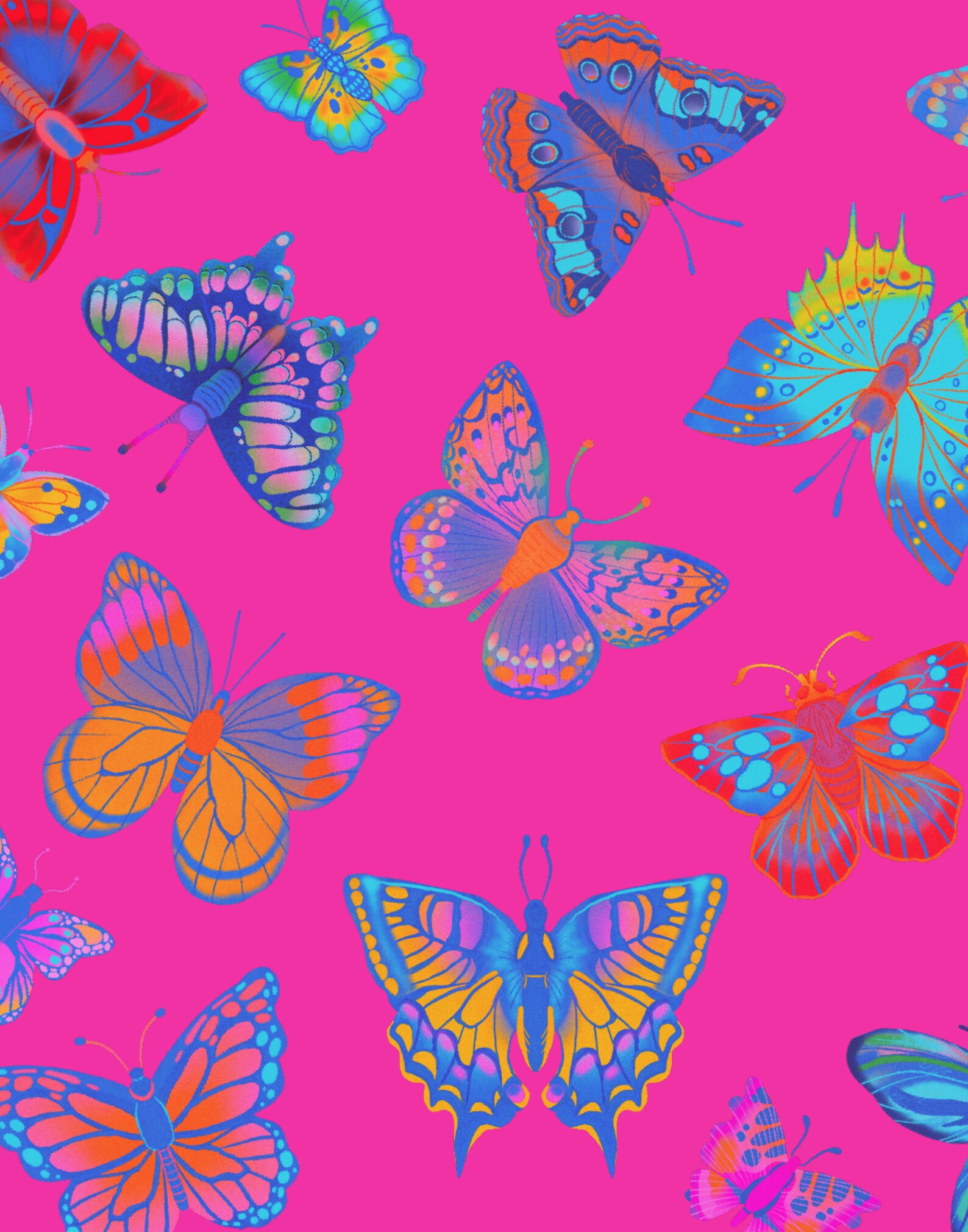 Butterfly Posters Butterfly Art Print Butterfly Wall Art Butterflies