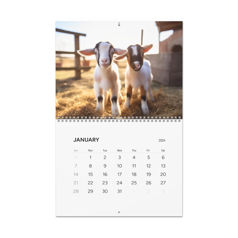 Goat Wall Calendar 2024 Calendar Kitchen Calendar House Calendar Pet