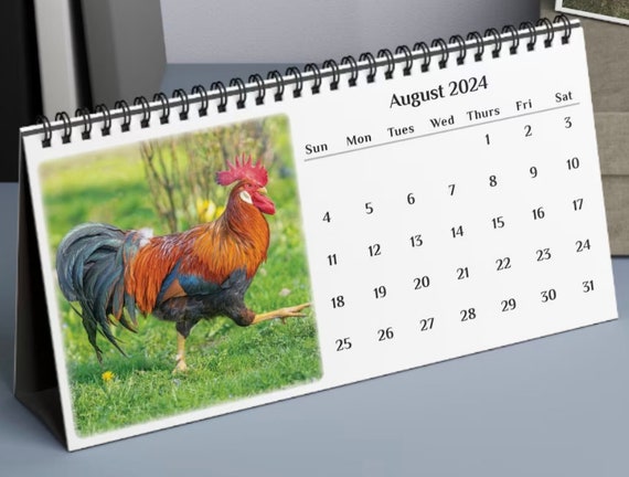 chicken-desk-calendar-kitchen-calendar-2024-flip-calendar-for-home-or-office-tent-calendar-etsy