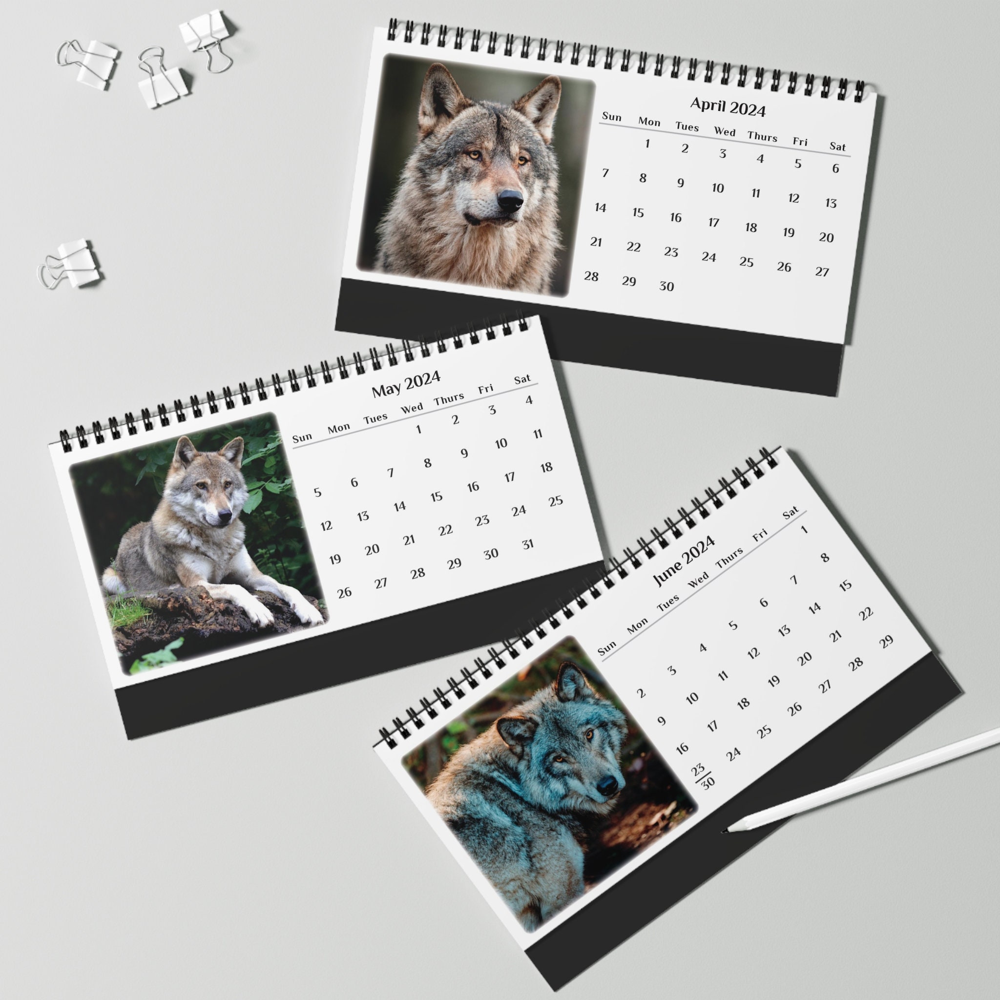 Wolf 2024 Desk Calendar sold by Chris Wagner SKU 94978450 Printerval