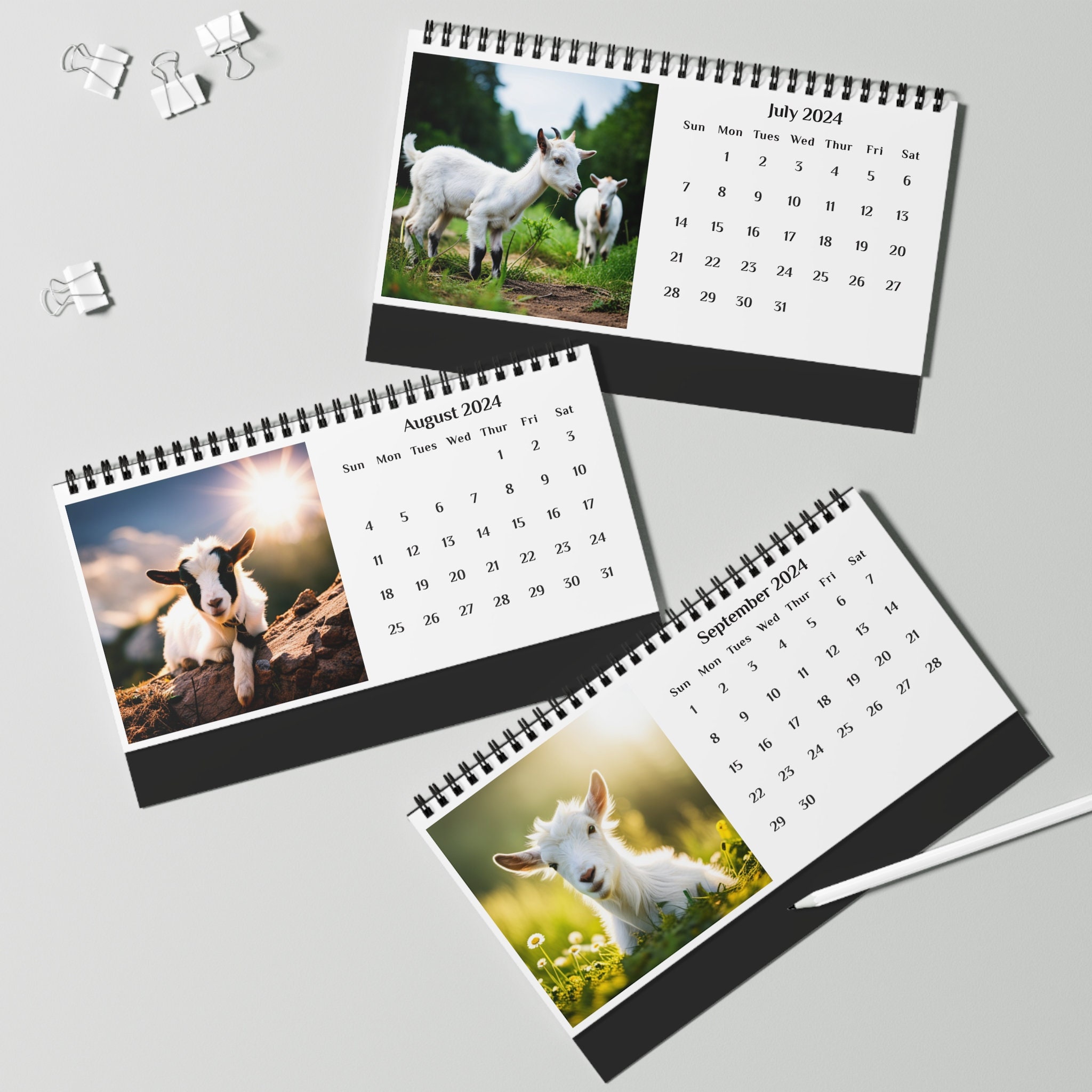 Cow 2024 Desk Calendar sold by Cast Premium SKU 4596721 Printerval