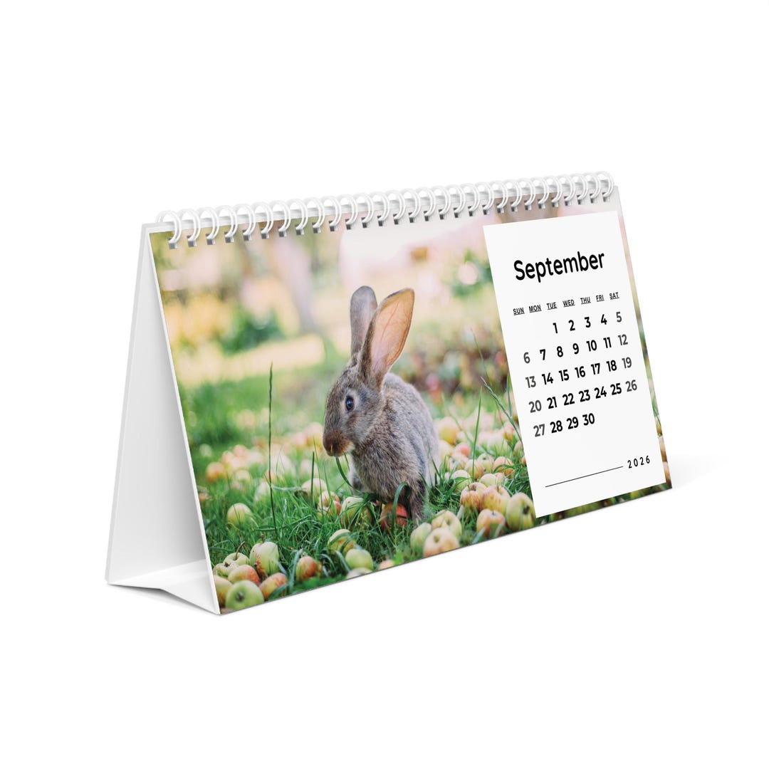 Planner Rabbet 2026 Bunny Desk Calendar: Rabbit Monthly Planner - Etsy