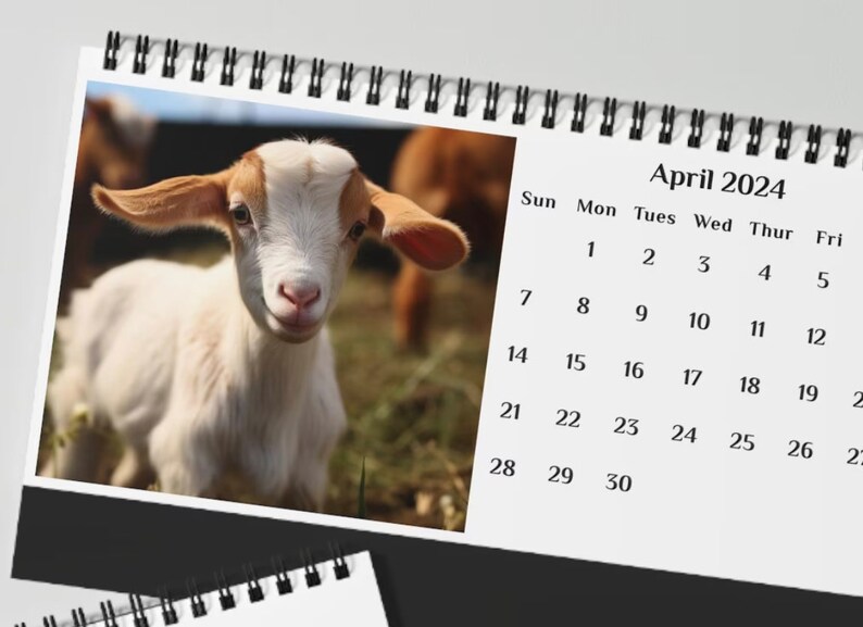 Goat Flip Calendar 2024 Desk Calendar Kitchen Calendar Pet Calendar
