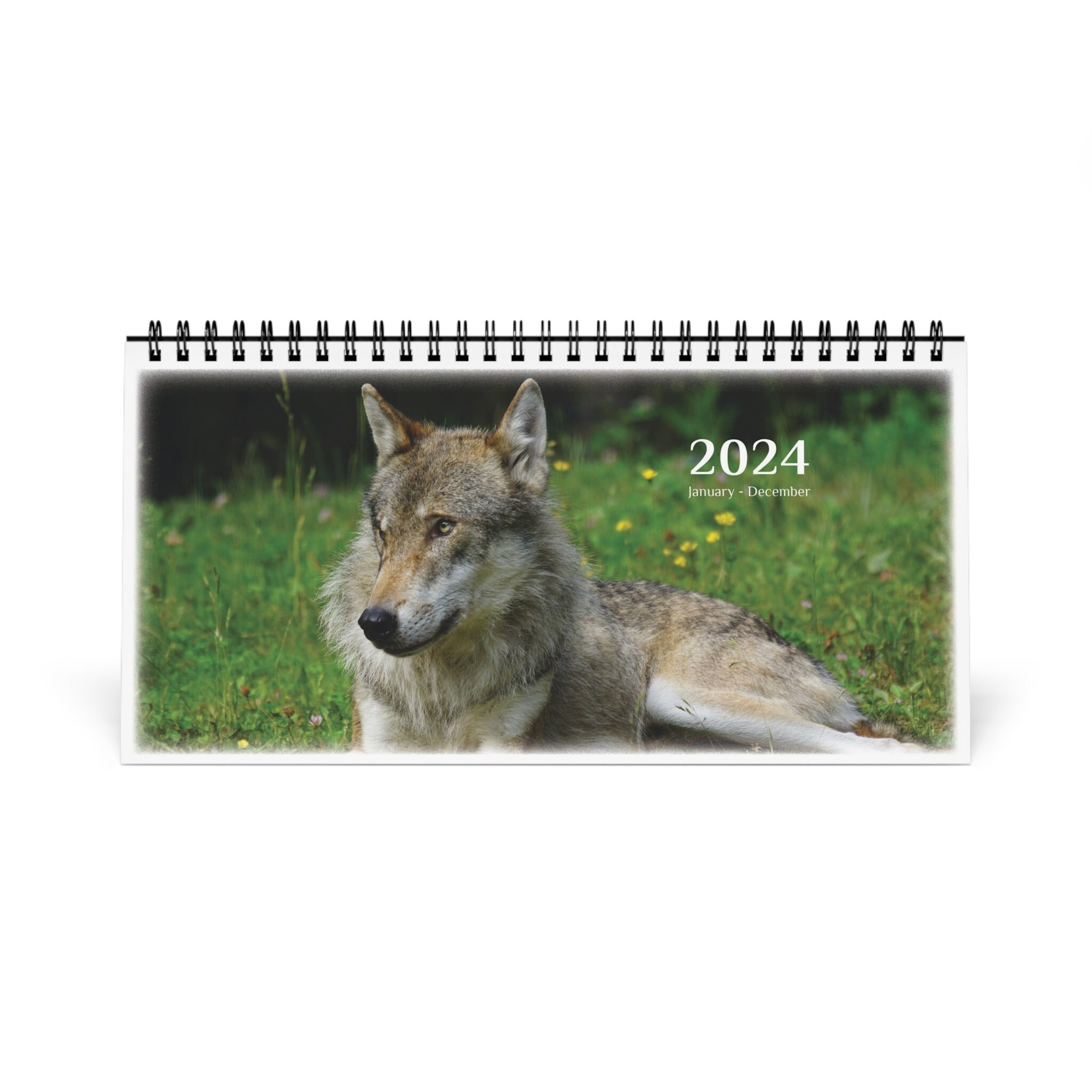 Wolf 2024 Desk Calendar sold by Chris Wagner SKU 94978450 Printerval