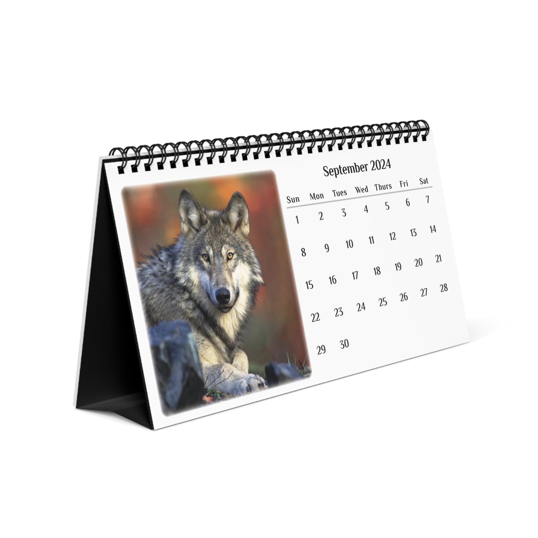 Wolf 2024 Desk Calendar sold by Chris Wagner SKU 94978450 Printerval