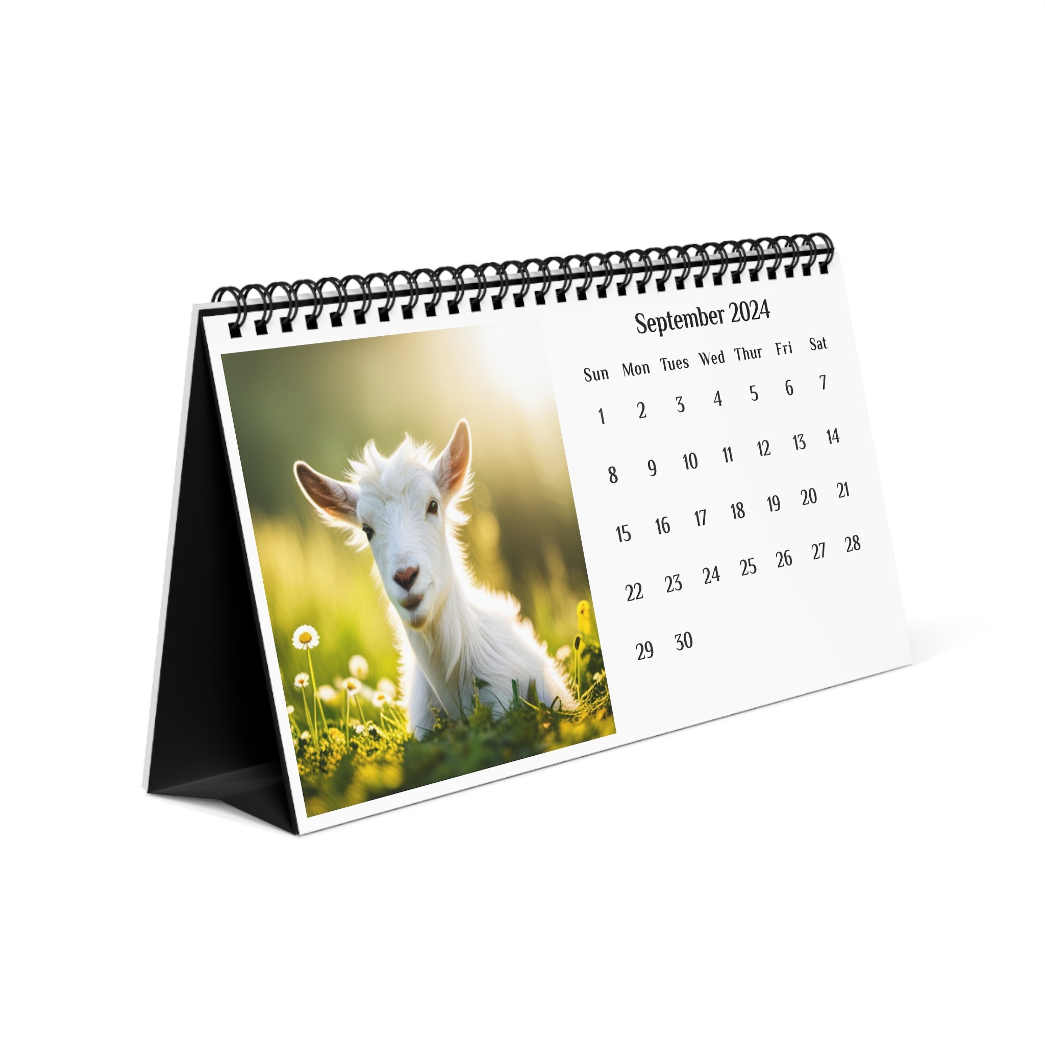 Cow 2024 Desk Calendar sold by Cast Premium SKU 4596721 Printerval