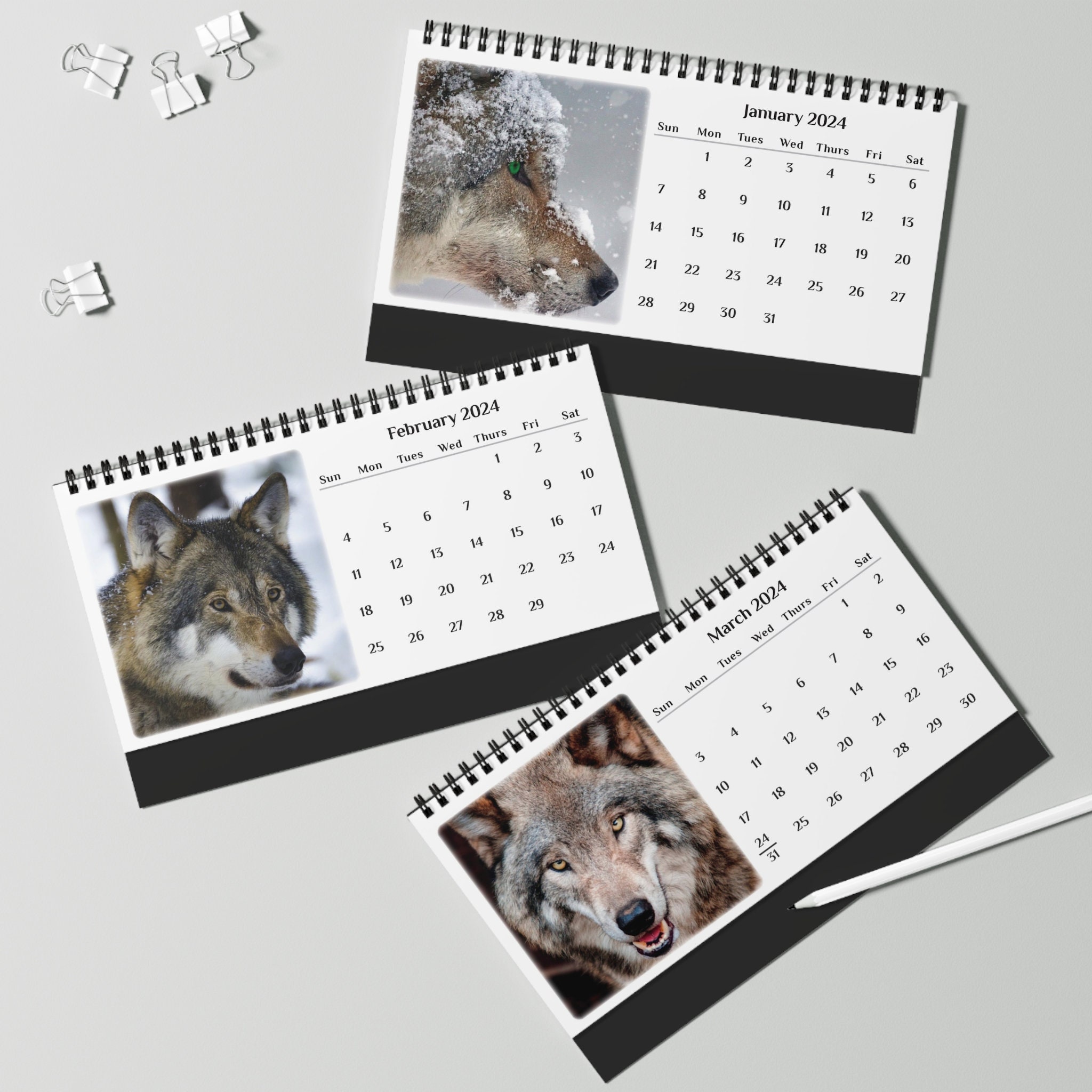 Wolf 2024 Desk Calendar sold by Chris Wagner SKU 94978450 Printerval