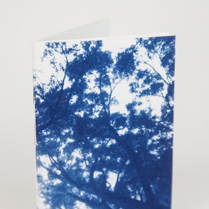 May include: A folded greeting card featuring a cyanotype print of a tree canopy against a white background. The image is a detailed representation of tree branches and leaves, creating a striking contrast.
