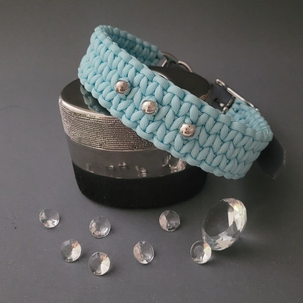 Dog collar in light blue 3.5 cm wide for medium-sized dogs