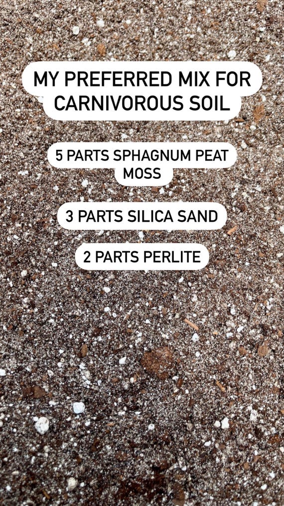 ミラージュほぼハーフコンプリート ミラージュほぼハーフコンプリート