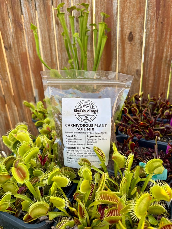 Carnivorous Plant Soil Mix - Quart Size | Peat Moss, Silica Sand