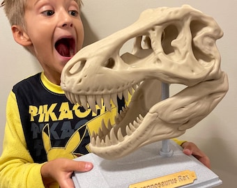 Large 3D Printed T-Rex Skull - Multicolor - Large Dinosaur Fossil Replica - Tyrannosaurus Rex Model