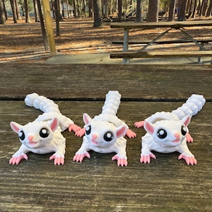 Articulating Sugar Glider 3D Printed Toy – Movable Tail, Body & Head – Sugar Bear, Pocket Glider, Flying Possum Gift
