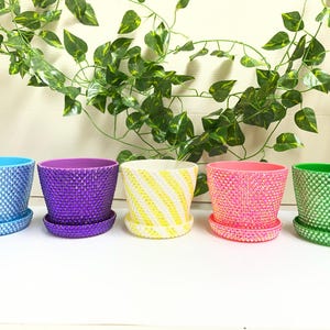 May include: Five brightly coloured ceramic plant pots with matching saucers. The pots are in blue, purple, yellow, pink, and green. The blue, purple, pink, and green pots have a studded texture. The yellow pot has a striped pattern.